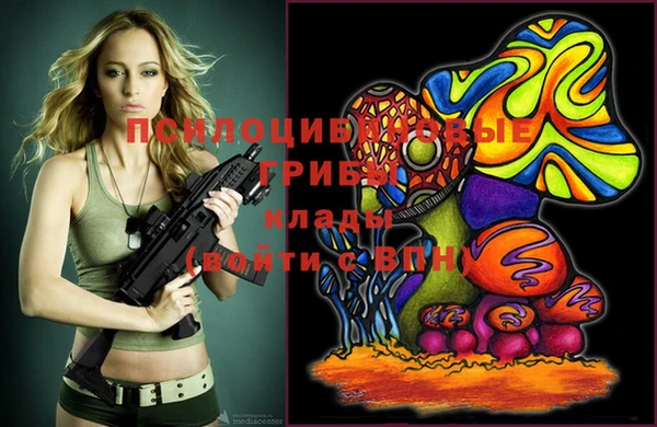 дживик Елабуга