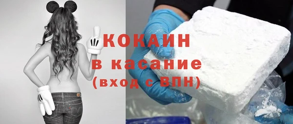 кокс Ельня