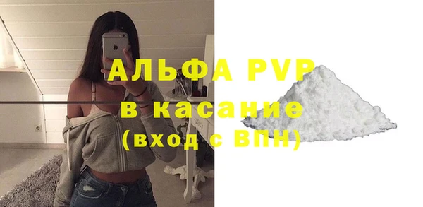 дживик Елабуга
