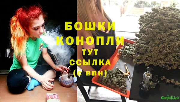 кокс Ельня