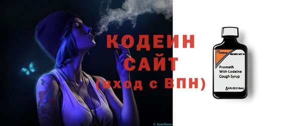кокс Ельня