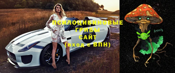 дживик Елабуга