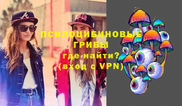 дживик Елабуга