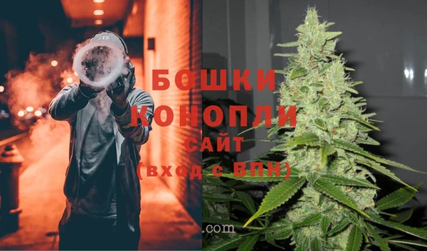 дживик Елабуга