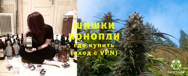 кокс Ельня