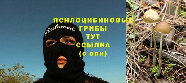 МДМА Заволжск